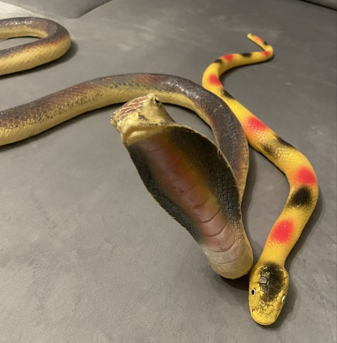 Zabawki gumowe węże