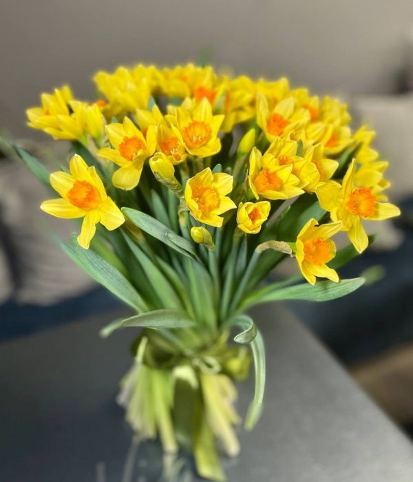 Букети з тюльпанів та нарцисів