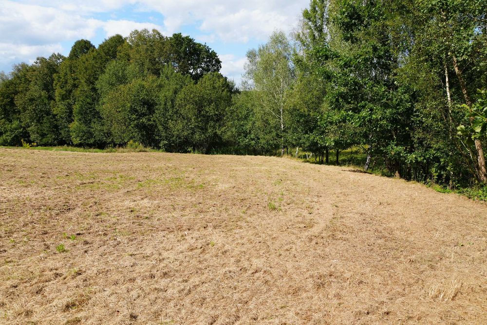 Działka lub działki budowlane Głogczów 8 arów