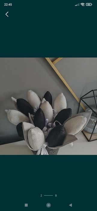 Tulipany różne kolory