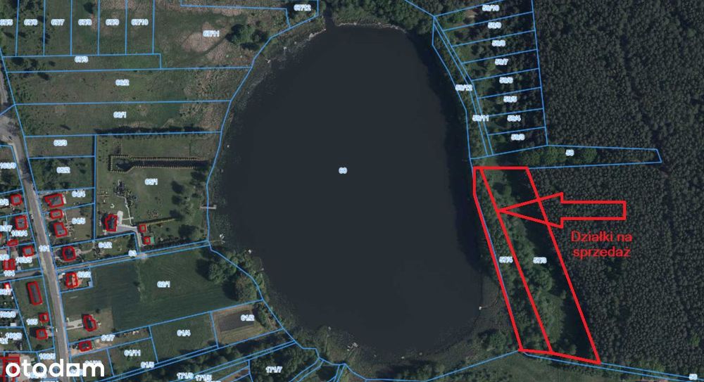 Działka w pierwszej linii brzegowej jeziora - 1,41 ha / Lubrza - Widok 3