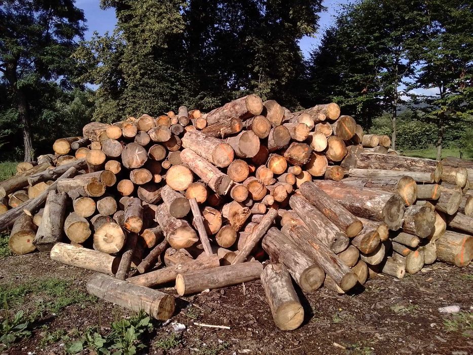 Drewno kominkowe / opałowe ŚWIERK