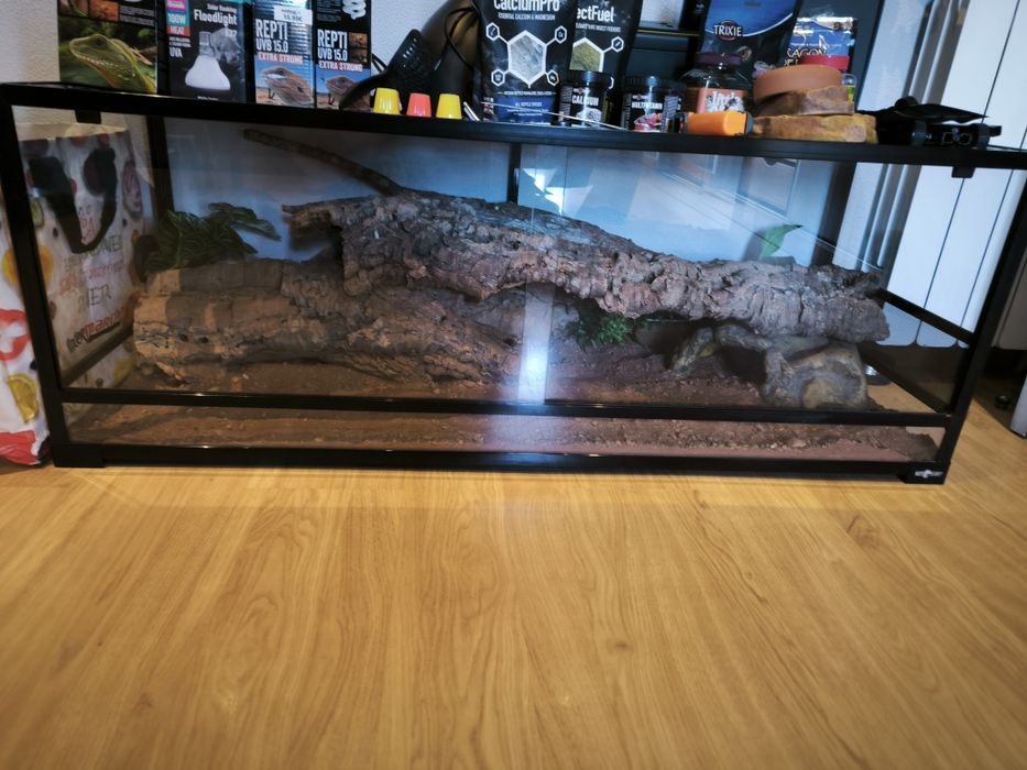 Terrário Grande C/ Acessórios