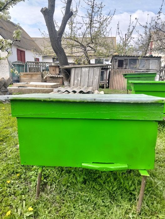 Продам вулики для бджіл