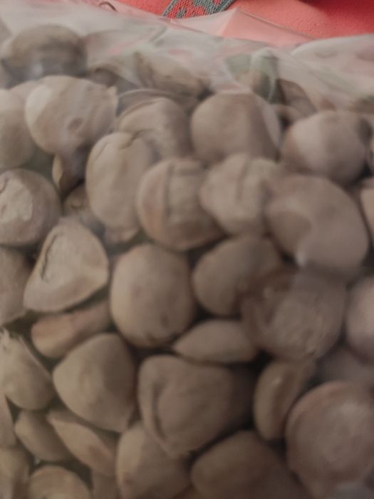 Noz da Índia - Emagrecimento saudável