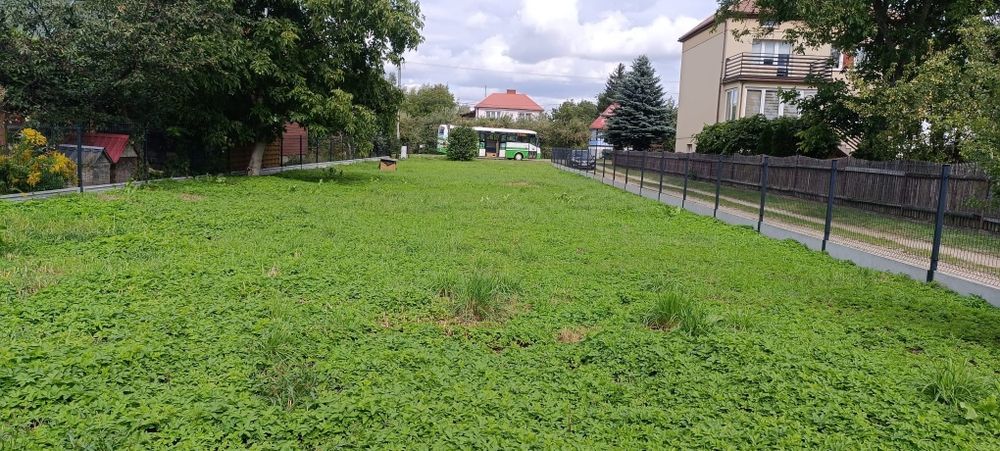 Zdjęcie 2