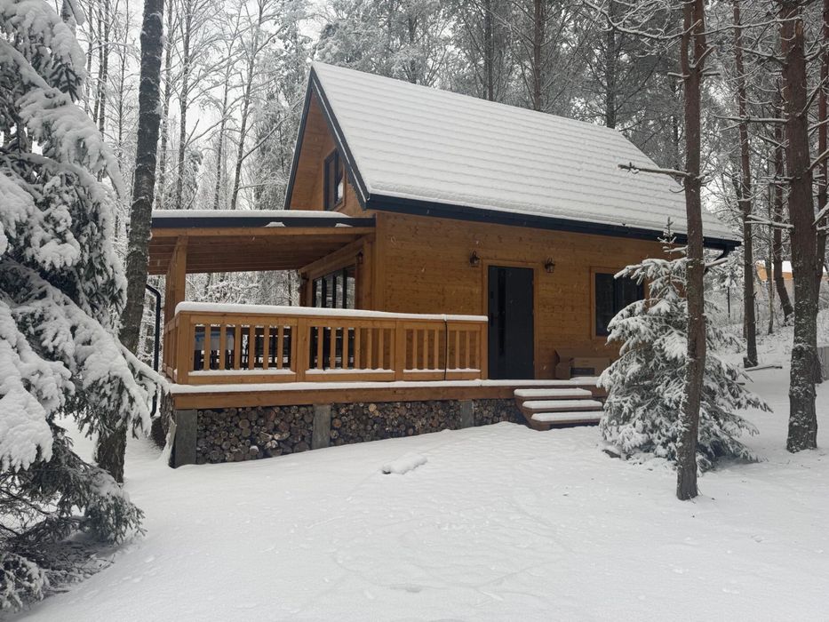 Wynajmę klimatyczny domek w lesie