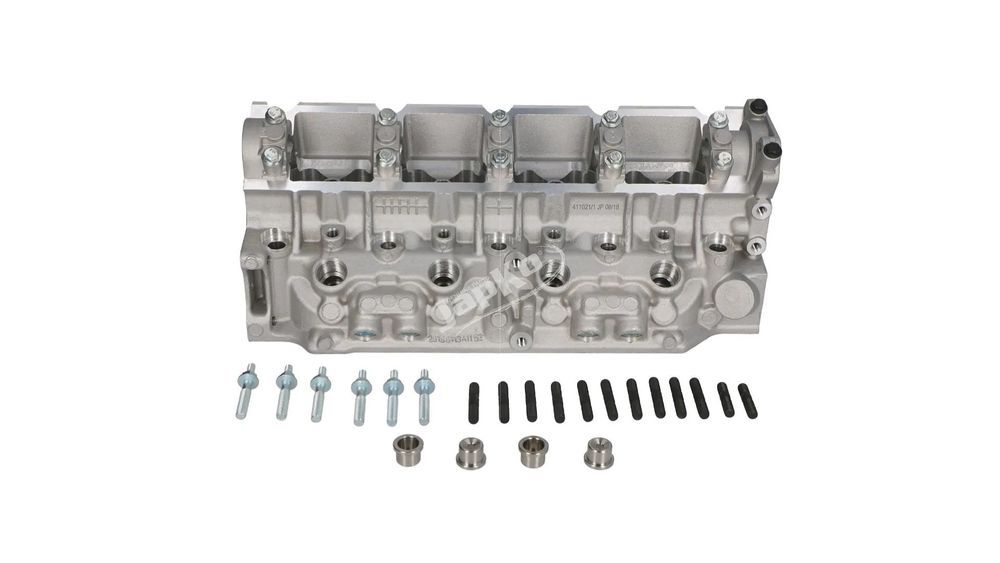 Cabeça de motor Renault Kangoo Megane Clio II 1.9D (NOVA)