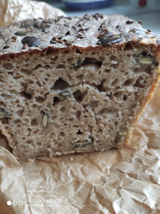 Zakwas zaczyn na chleb