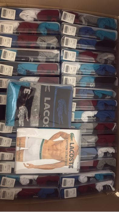 Boxer de adulto e criancas