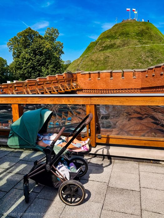 Wózka e-priam 4.0 2023 z tapicerką