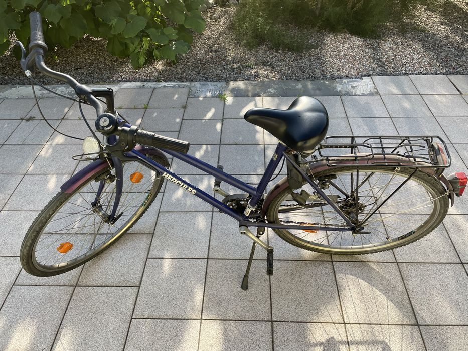 Rower Calypso Hercules