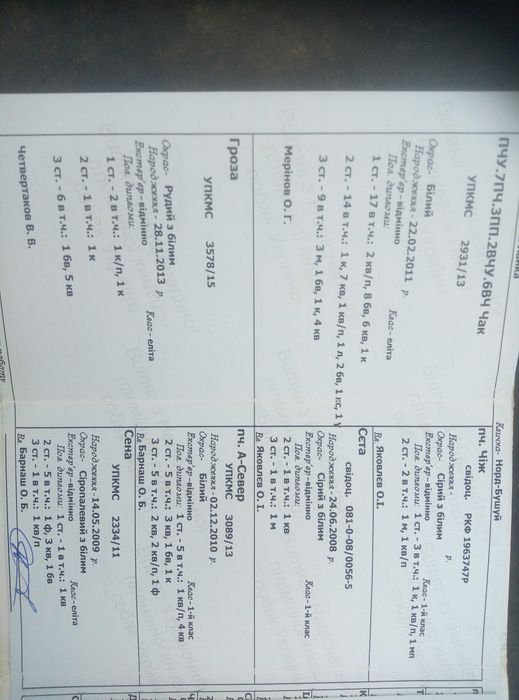 Продам робочого кобель  ЗСЛ.