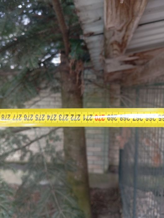 Вольєр для собаки разом з будою як на фото.