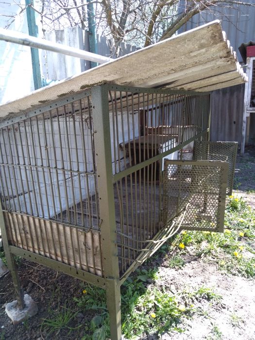 Клітка залізна,вольєр для собаки, для нутрій або кролів