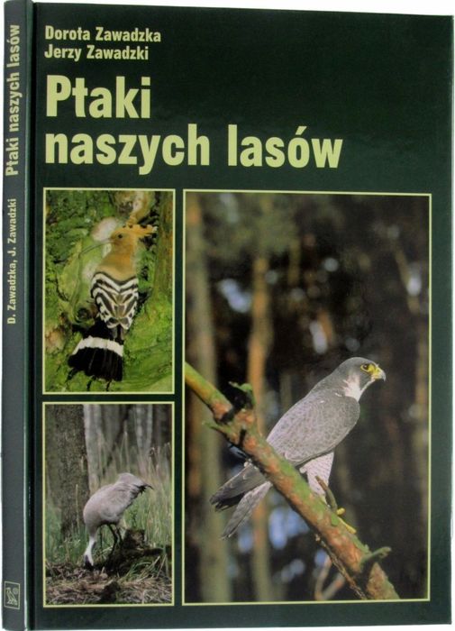 Ptaki naszych lasów, Dorota Zawadzka, Jerzy Zawadzki