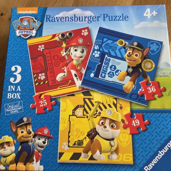 Psi patrol puzzle