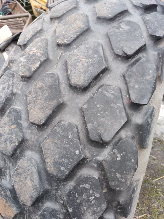 Opona 23.1-26 alliance