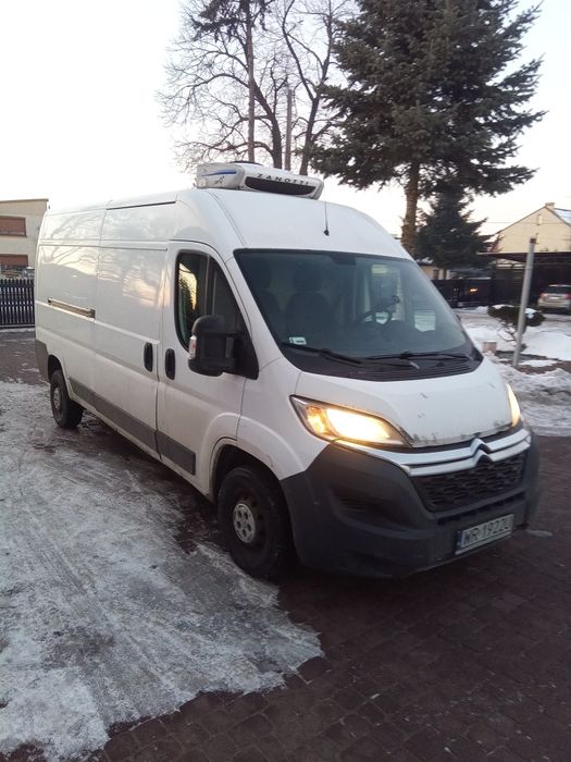 Citroen Jumper chłodnia