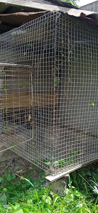 Для собак кролів курей