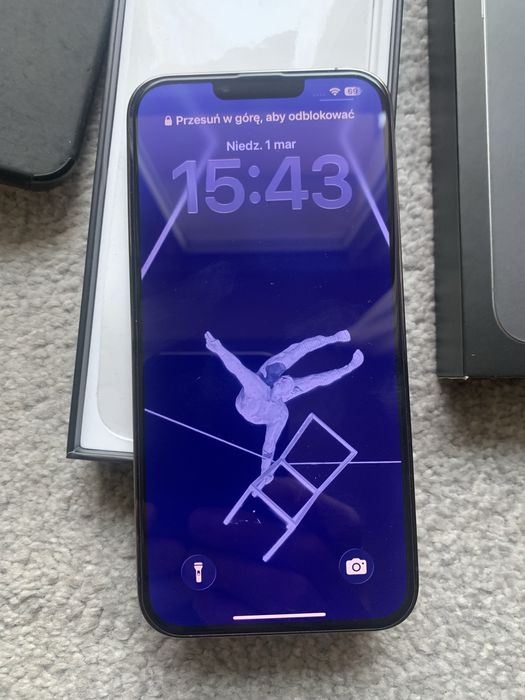 Iphone 13 Pro Max 1TB plus 4 case