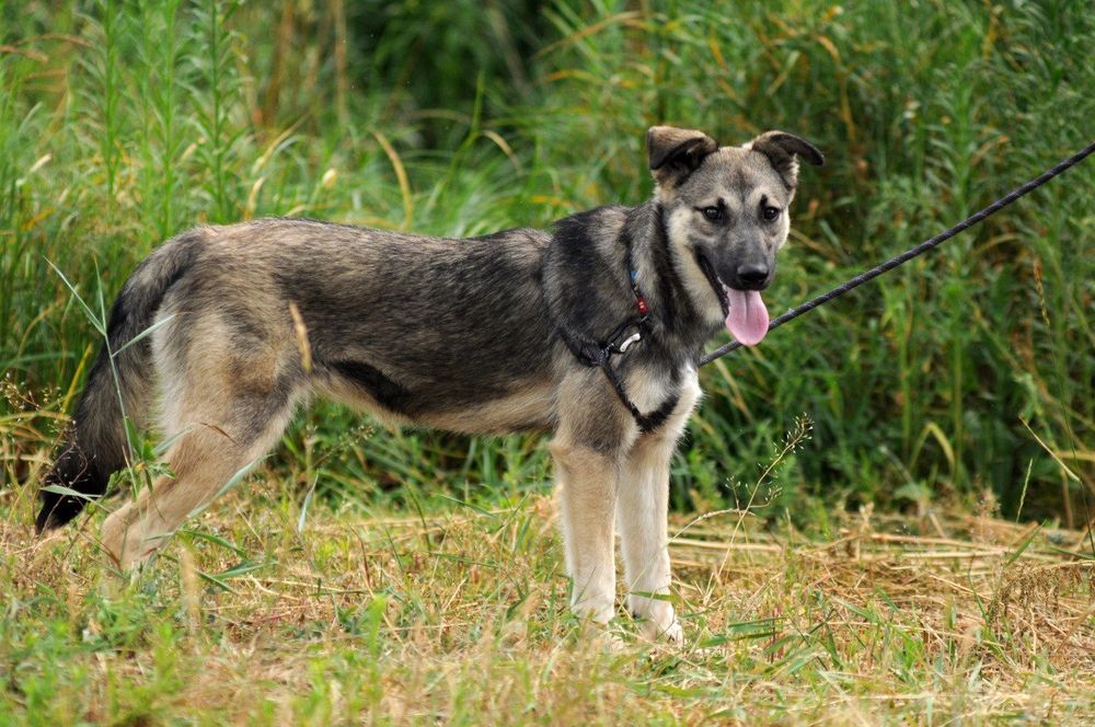 Молодая девочка в поиске дома