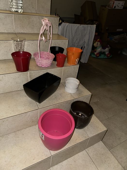 Vasos plantas variados