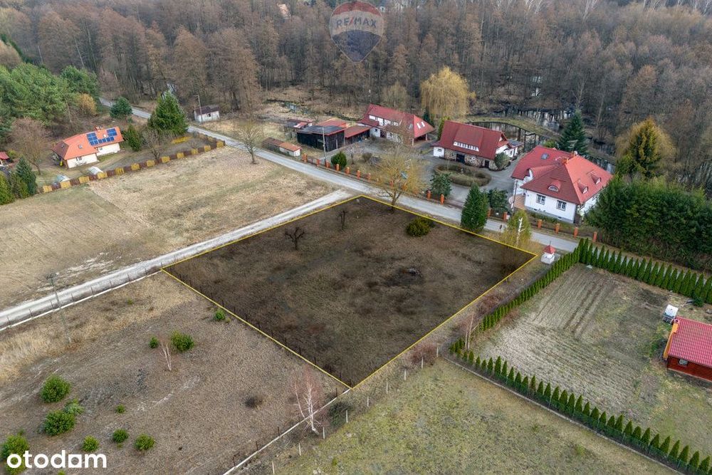 Działka budowlana - Przykory gmina Pniewy - Widok 5