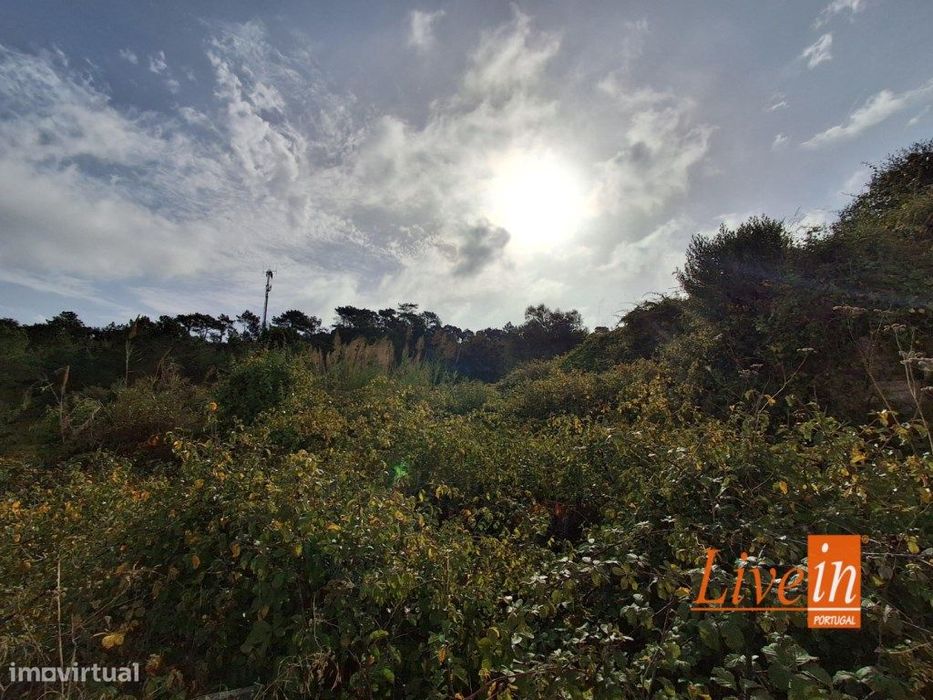 Ruina de Casa para Adega com Logradouro em Freiria