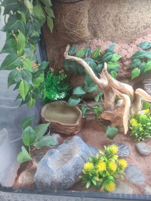 Sprzedam terrarium z całym wyposażeniem