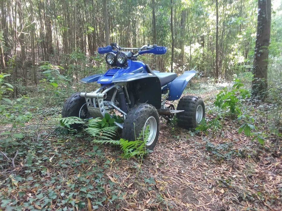 yamaha warrior 350