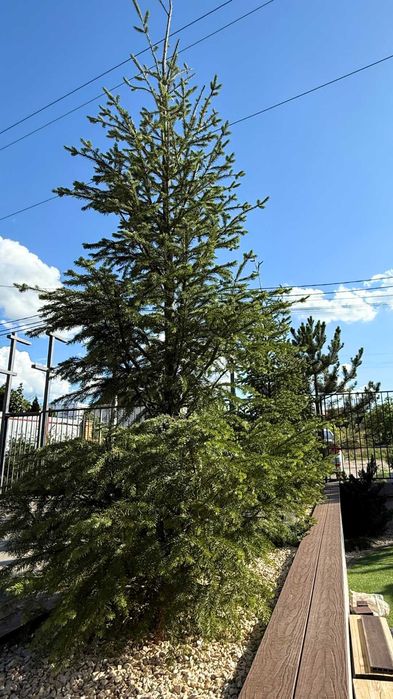 6oo за м²‼️ Газ‼️12 хв пішки до трамваю в Київ‼️ГотовіДок-ти‼️