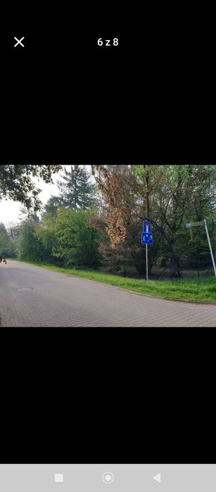 Zdjęcie 3