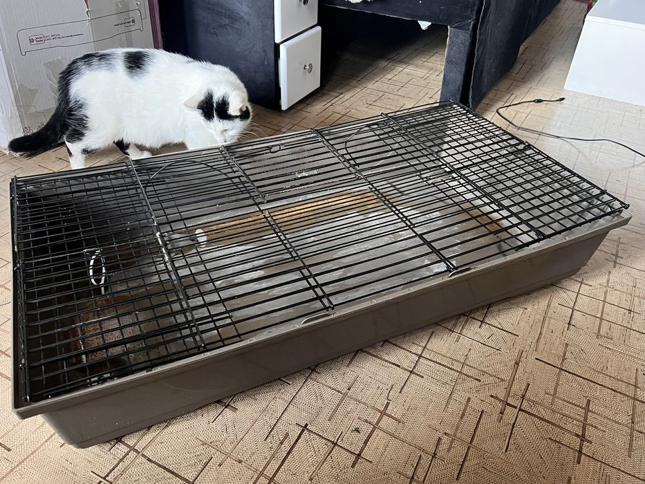 Велика Б/у клітка для гризунів (морських свинок, хорів, шиншил і тд)