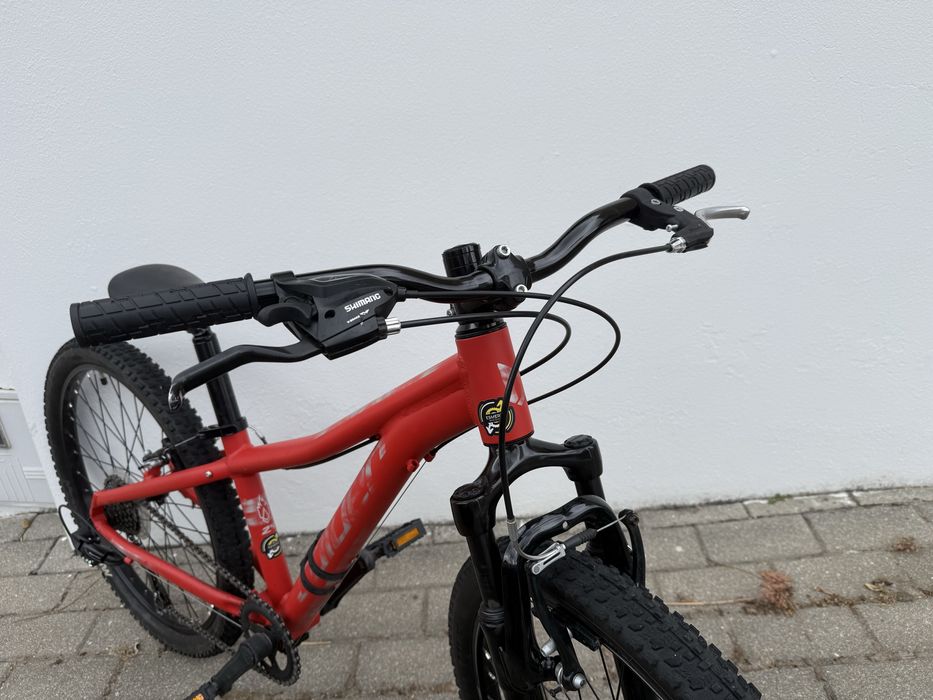 Coluer Ascent 241 roda 24