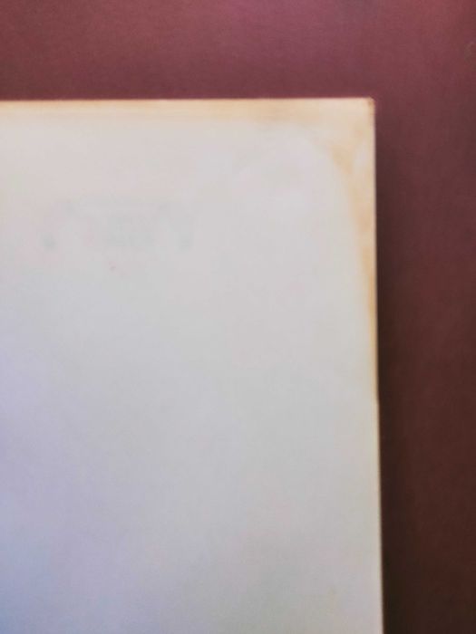 Acerca de Florbela – Rui Guedes