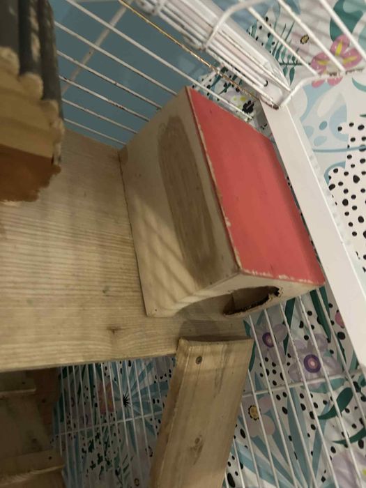 Klatka dla szynszyli