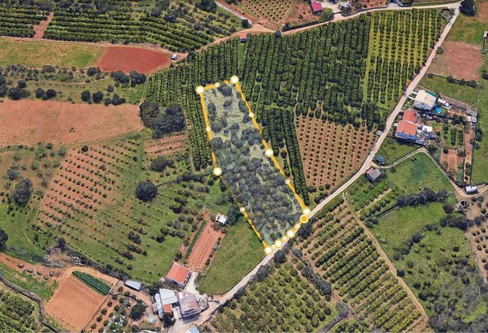 Terreno 4.280m2 Boliqueime a 10min Praia da Falésia