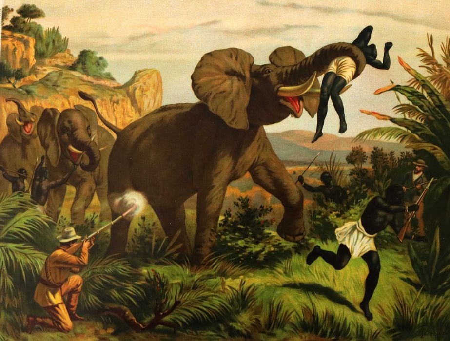 Caça aos Elefantes grande cromolitografia 1885 Theodor Breitwieser