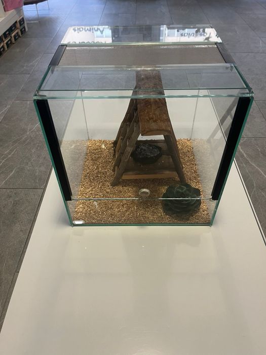 Terrário em vidro 30x30x30