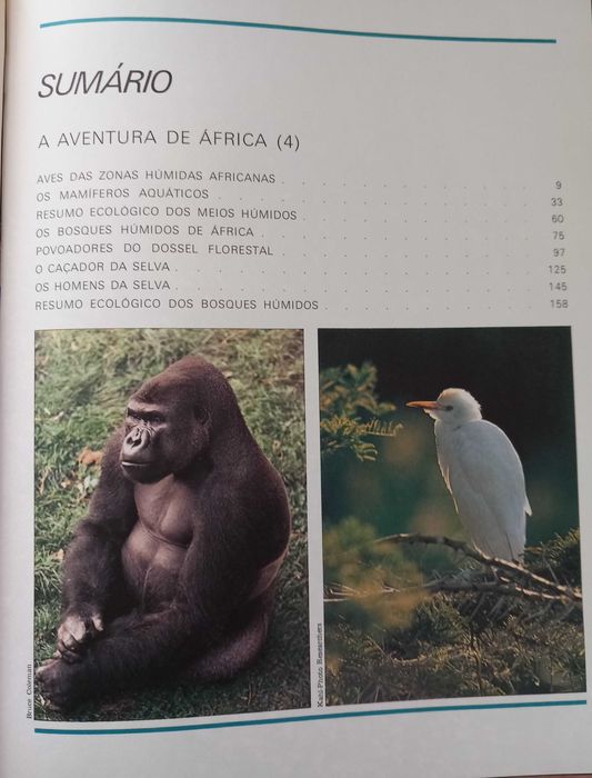 A Aventura da Vida de Félix Rodriguez de La Fuente - portes incluídos