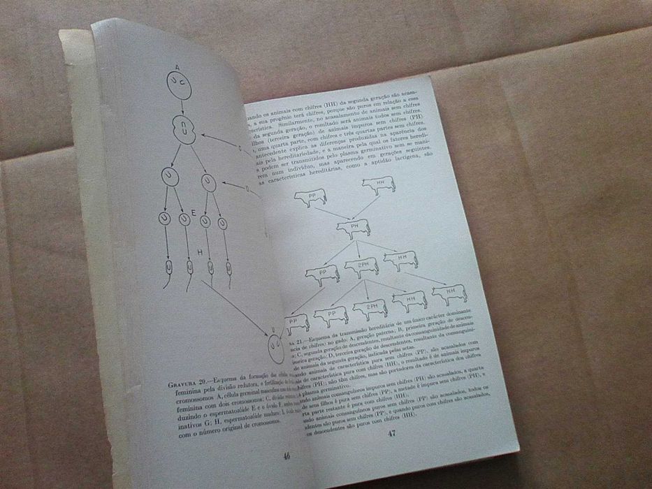 Manual de lacticínios para a América tropical