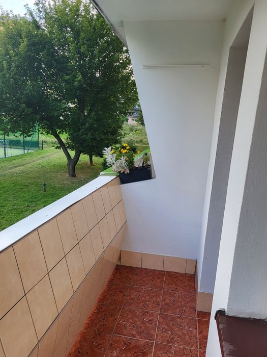 Zdjęcie 2
