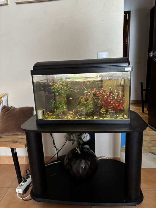 Vendo tudo : aquario +movel + 50 guppies e limpa fundo