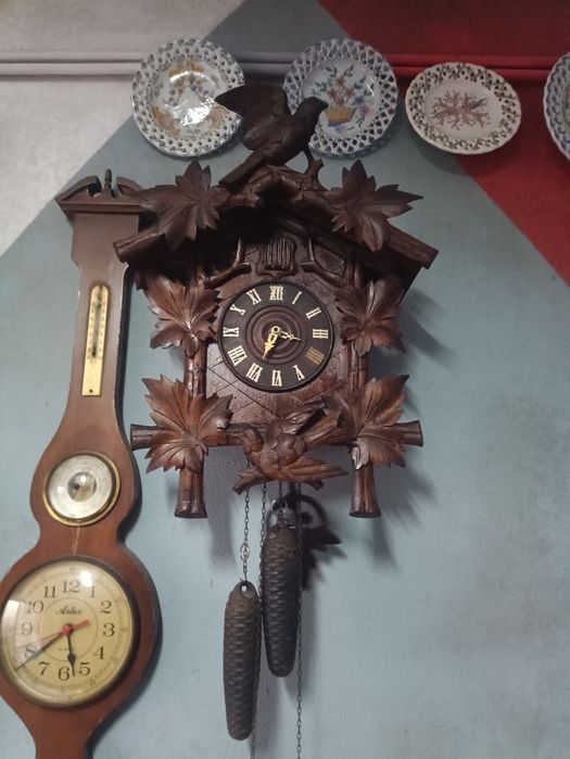 Cuco a funcionar grande.