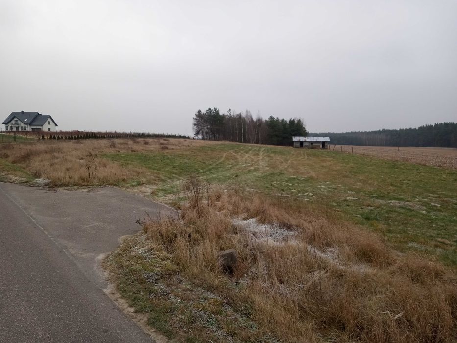 Działka budowlana 2695m2-85zł za 1 m2 w Lubowidzu woj Mazowieckie bez pośredników zamiana na mieszkanie w Żurominie lub Mławie w podobnej cenie