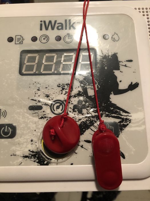 Passadeira Eletrica Iwalk