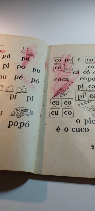 Cartilha - Professor Janeiro Acabado