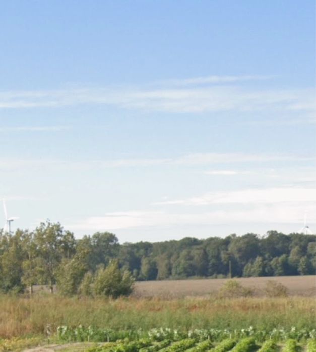 Działka budowlana z warunkami zabudowy Nowojewo k/Kostrzyn Wlkp