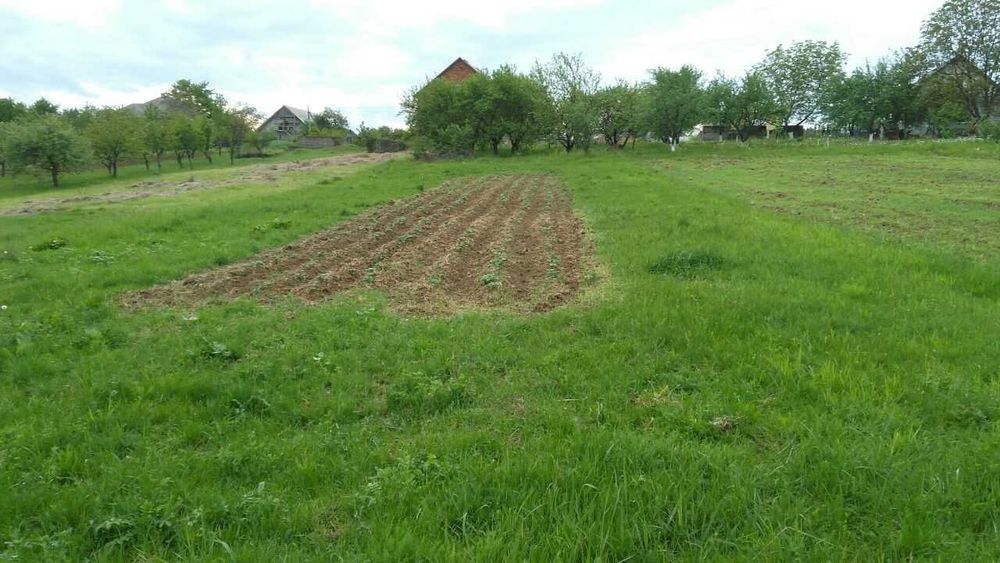 Земельна ділянка під забудову, 25 сот в с.Негрово, Мукачівський район.